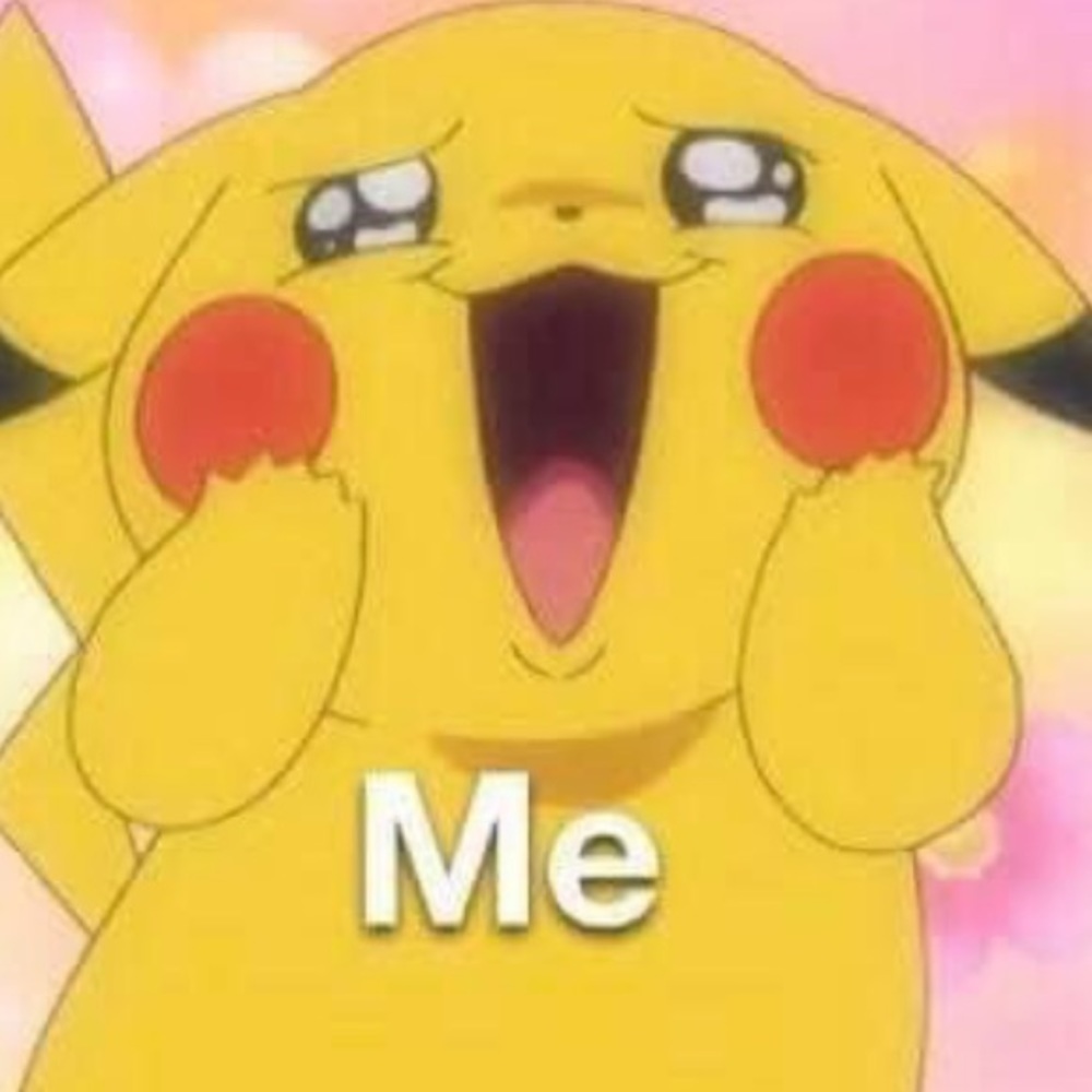 Meet your Posher, Layla